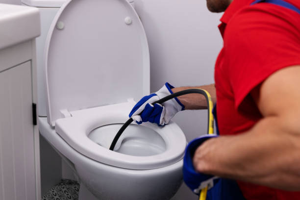 Best Local Plumber Services  in Mulberry, IN