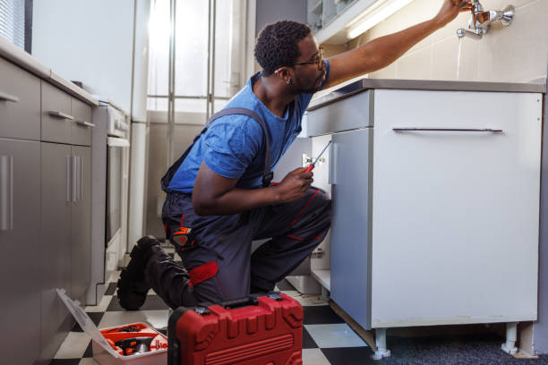 Best Commercial Plumbing Services  in Mulberry, IN